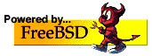 Server OS is powered by FreeBSD - http://www.freebsd.org/